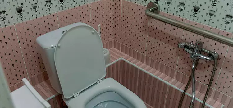 Meeting Diverse Needs With Accessible Restroom Solutions in Waipahu, HI